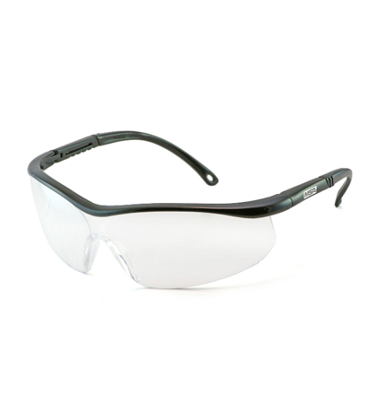 LENTES SIERRA ELITE - MSA